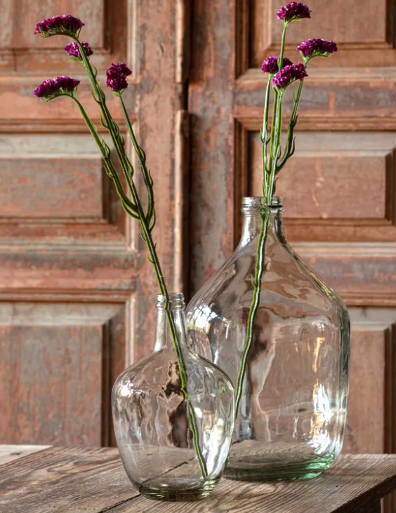 STATICE VIOLET