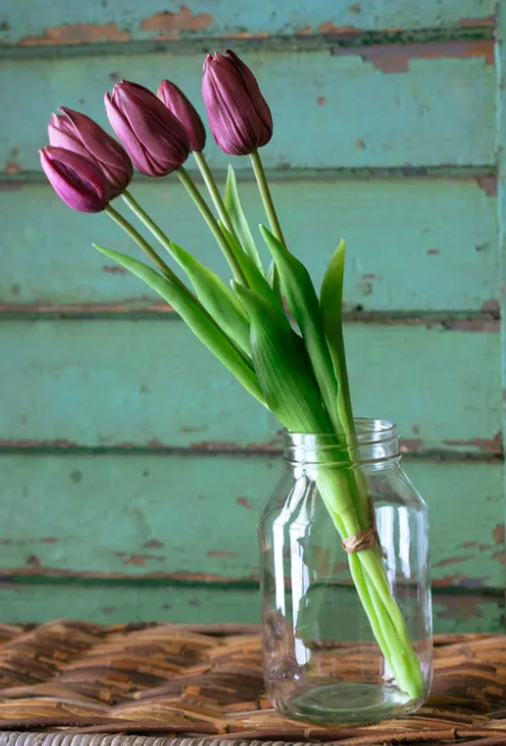 VIOLET TULIP BUNCH
