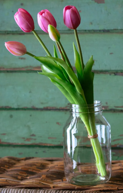 LAVENDER TULIP BUNCH