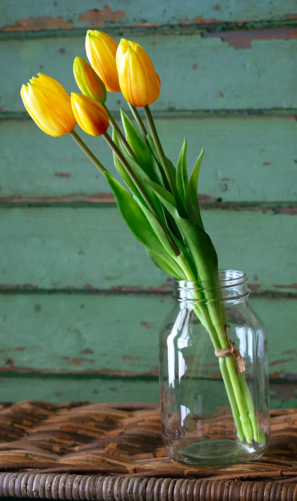 YELLOW TULIP BUNCH