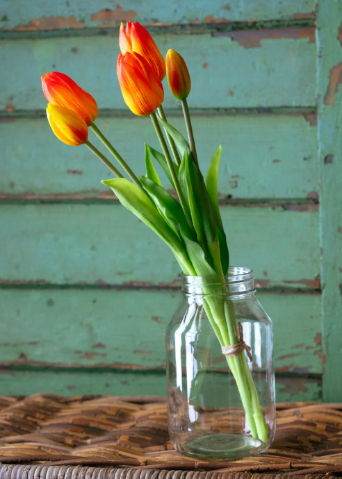 ORANGE TULIP BUNCH