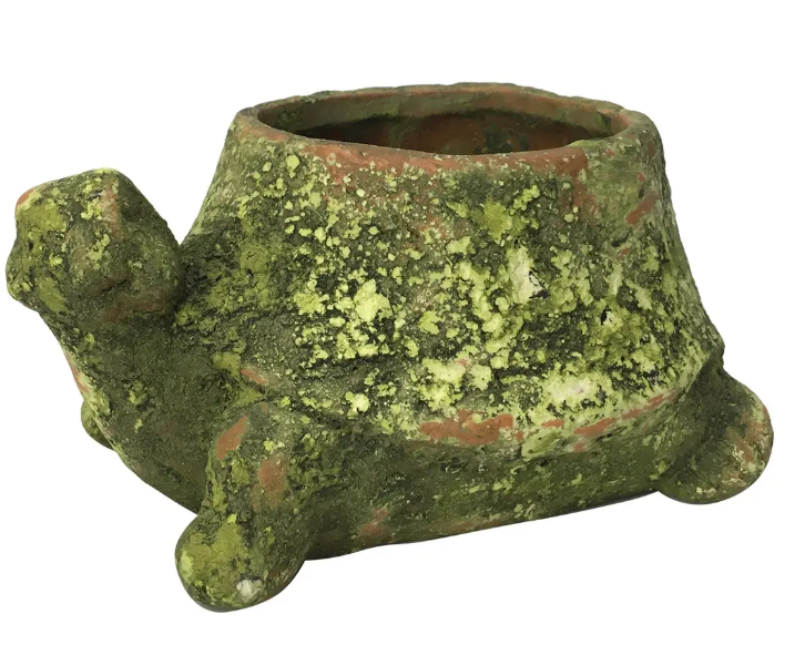 SMALL MOSSY TERRA COTTA TURTLE PLANTER