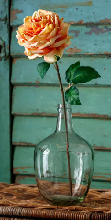 EMPRESS GARDEN ROSE STEM - SUNSET