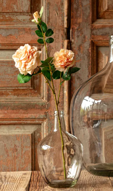 GARDEN ROSE CITRUS