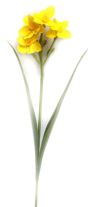 NARCISSUS STEM - ASSORTED