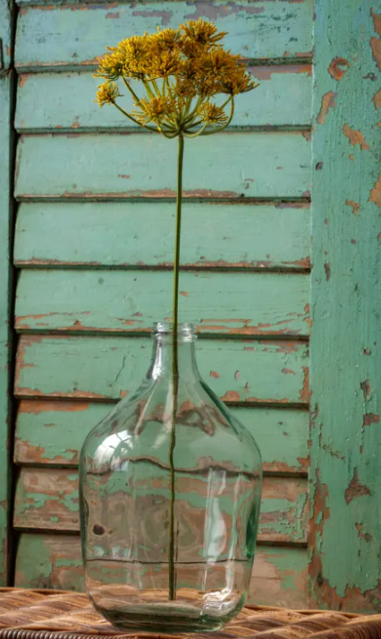 FIELD DILL STEM