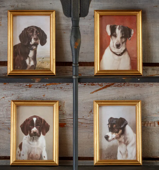 PETITE CHIEN PRINTS - ASSORTED