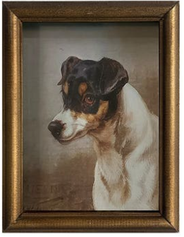 PETITE CHIEN PRINTS - ASSORTED