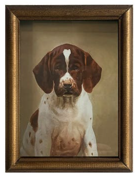 PETITE CHIEN PRINTS - ASSORTED