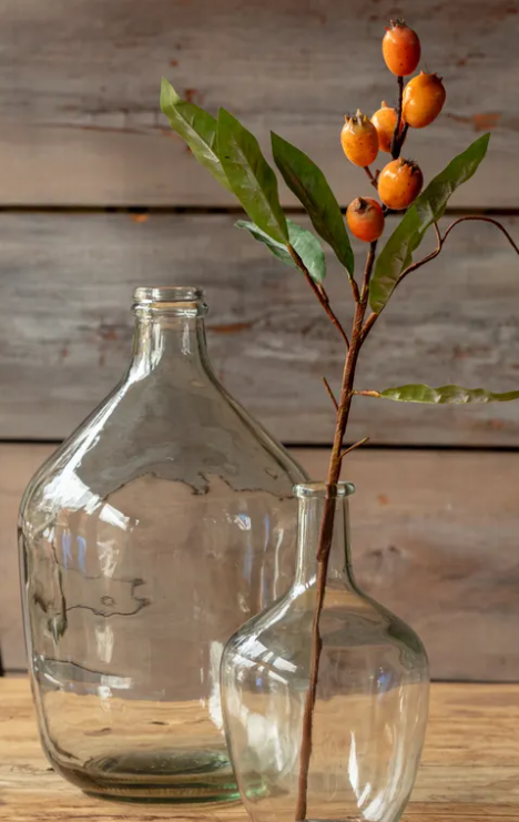 LOQUAT STEM