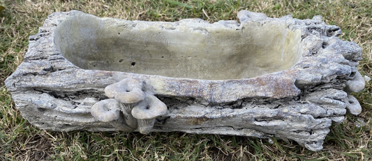 MUSHROOM LOG PLANTER