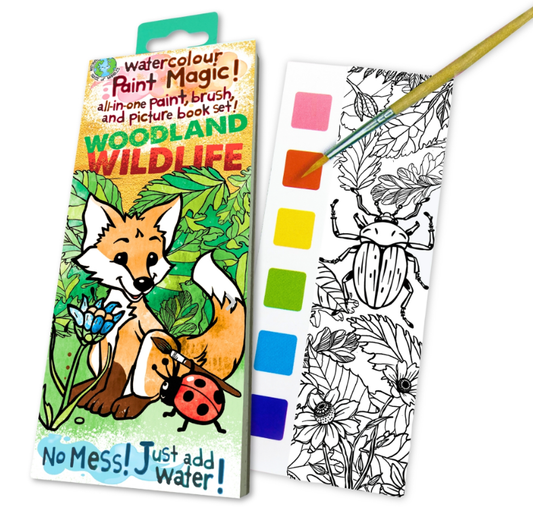 PAINT MAGIC - WOODLAND WILDLIFE