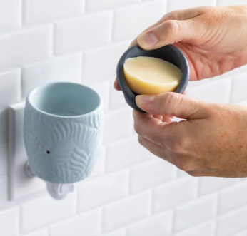 CANDLE WARMERS - PLUGGABLE FLIP FRAGRANCE WARMER OCEAN PALM