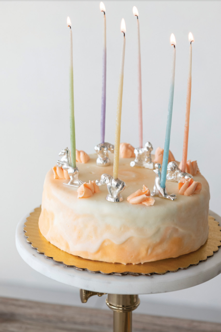 CIRCUS ANIMAL BIRTHDAY CANDLE HOLDERS -SET OF 6