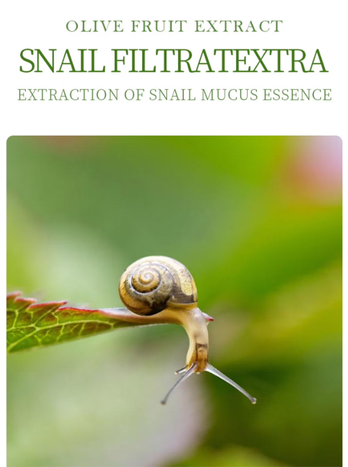 SPA EXPERIENCE PLANT MASK SERIES - SNAIL ESSENCE MOISTURIZING