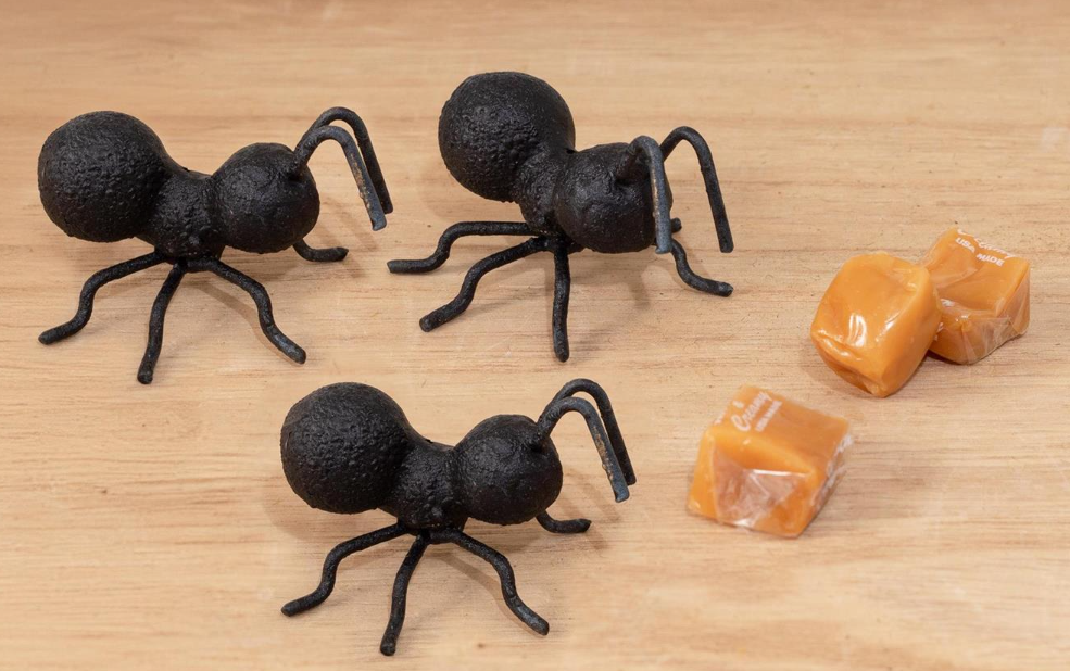 CAST IRON ANT