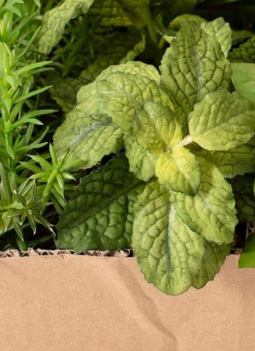 HERBS - ASSORTED