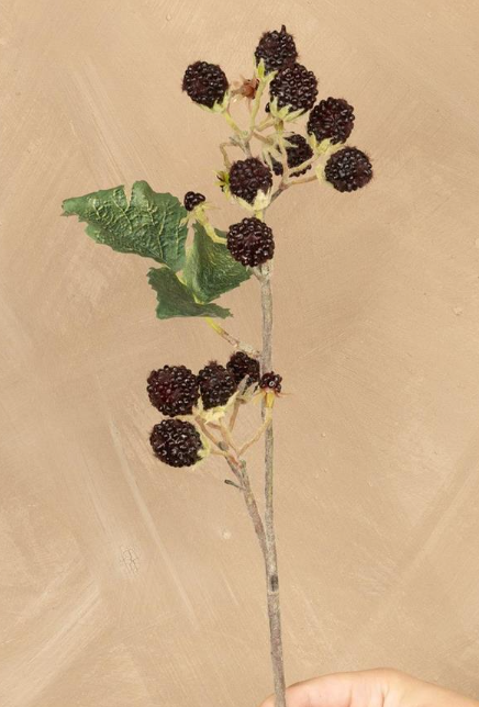 BLACK RASPBERRY PICK