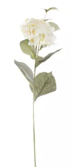 CREAM HYDRANGEA STEM