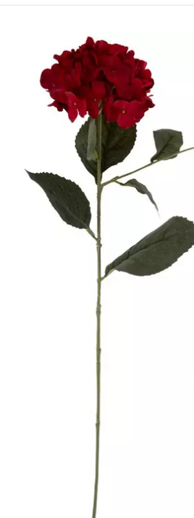 DEEP RED HYDRANGEA STEM