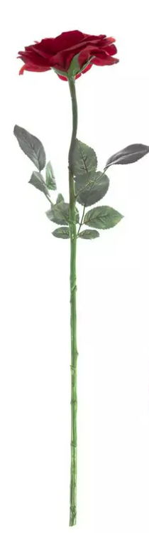 RED SOPHIA ROSE STEM