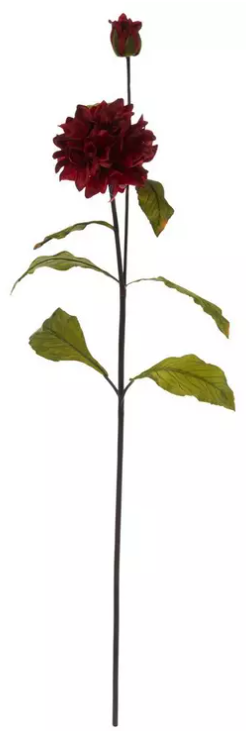 DEEP RED DAHLIA STEM