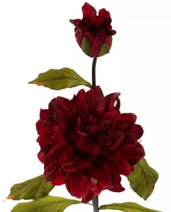 DEEP RED DAHLIA STEM