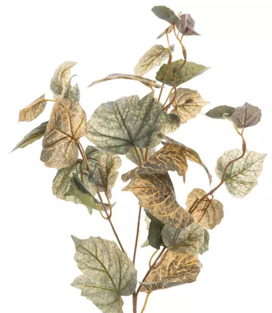 GREEN AND CREAM COTTONWOOD LEAF BRANCH
