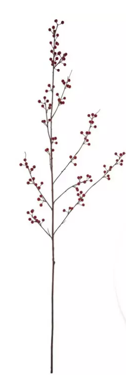 RED BERRY STEM
