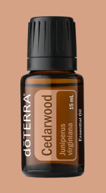 CEDARWOOD ESSENTIAL OIL