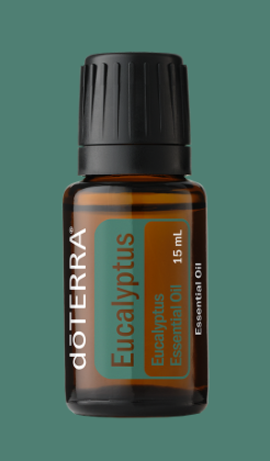 EUCALYPTUS ESSENTIAL OIL