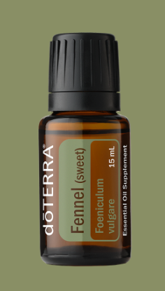FENNEL ESSENTIAL OIL