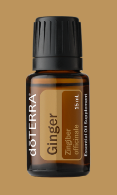 GINGER ESSENTIAL OIL