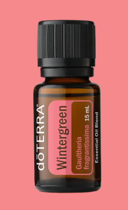 WINTERGREEN ESSENTIAL OIL