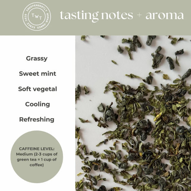 TEA WITH TAE MOROCCAN MINT - ASSORTED