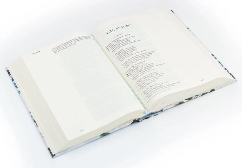 ESV LARGE PRINT JOURNALING BIBLE: VICTORIA THEME BY HOSANNA REVIVAL