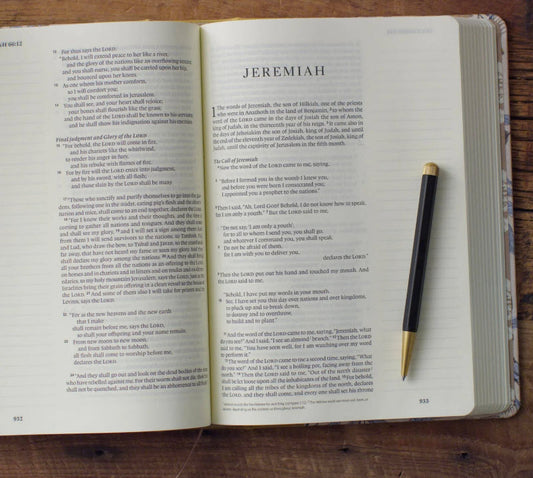 ESV SINGLE COLUMN LARGE PRINT JOURNALING BIBLE: CROSSWAY