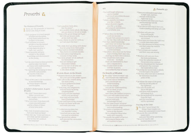 NLT COMPACT BIBLE: JERUSALEM THEME