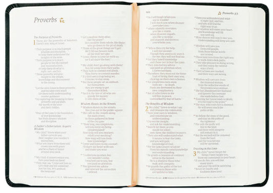 NLT COMPACT BIBLE: JERUSALEM THEME