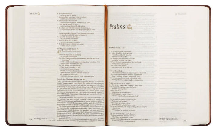 NLT NOTETAKING BIBLE: SANTA ELENA THEME