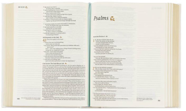 NLT NOTETAKING BIBLE: LISBON THEME