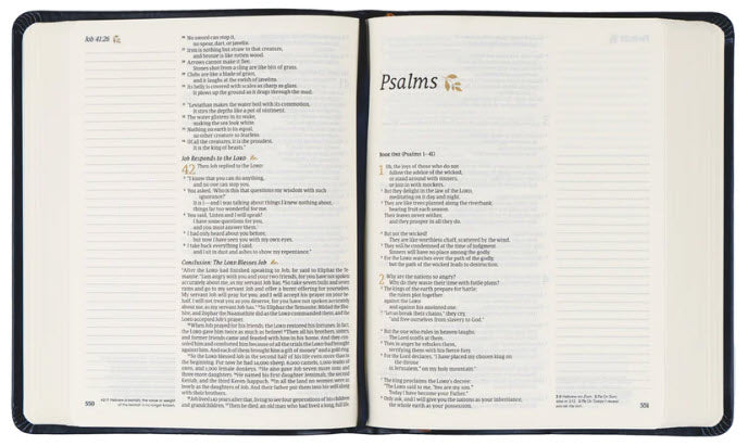 NLT NOTETAKING BIBLE: VERSAILLES THEME