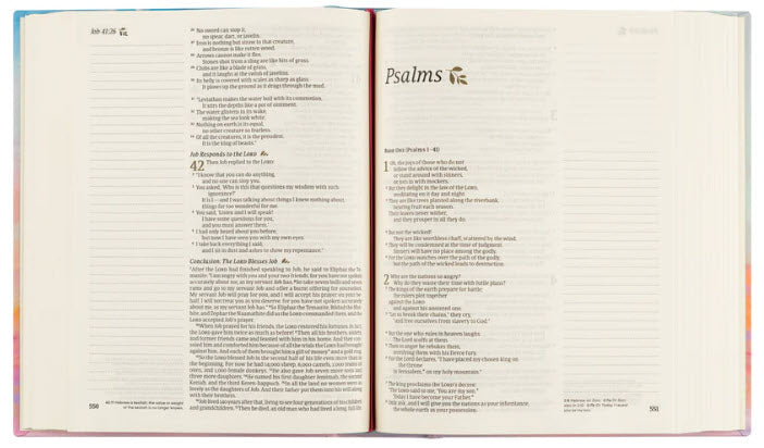 NLT NOTETAKING BIBLE: ROSEMARY BEACH THEME