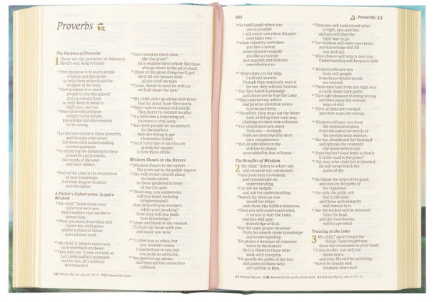 NLT COMPACT BIBLE: PRAIRIE THEME