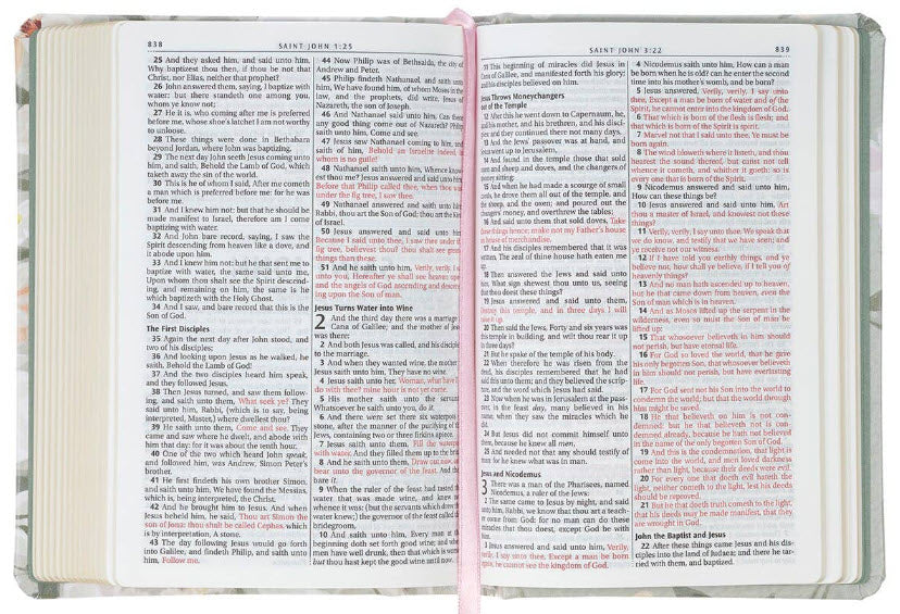 KJV COMPACT BIBLE: LICHEN GRAY FLORAL BIBLE