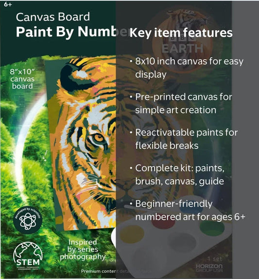 BBC EARTH CANVAS BOARD PAINT BY NUMBERS - TIGER