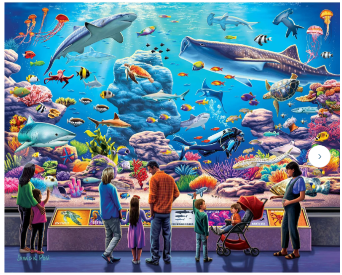 BOARDWALK PUZZLE COMPANY - 500 PIECE ASSORTED PUZZLES
