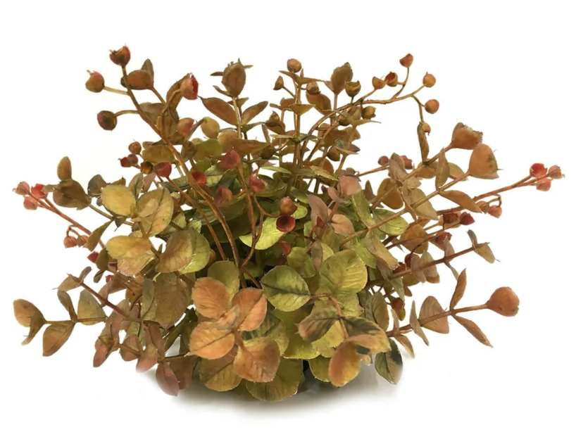 FALL GREEN AND ORANGE FLORAL 1/2 ORB