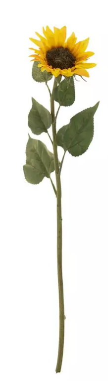 YELLOW SUNFLOWER STEM