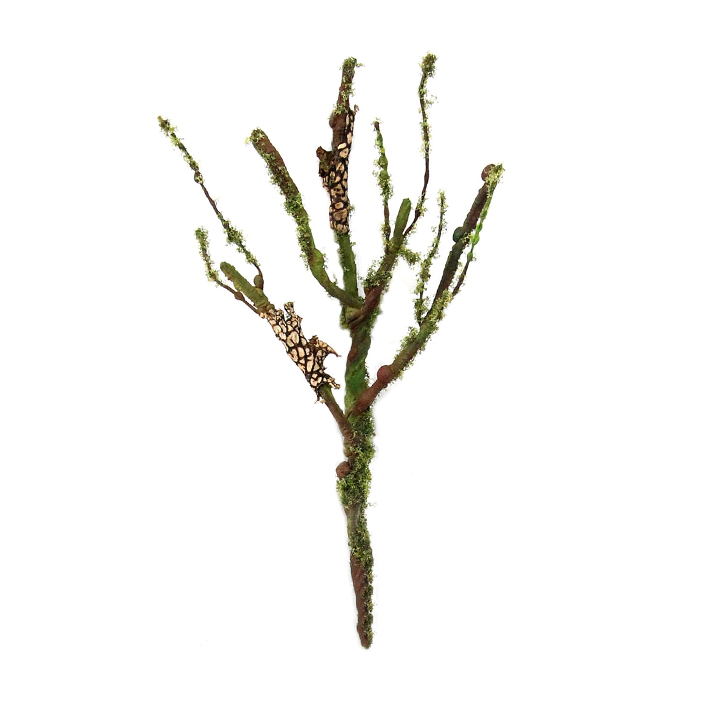 LITTLE MOSSY PIICK